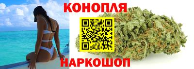 гашик Можга