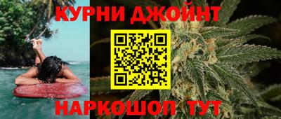гашик Можга