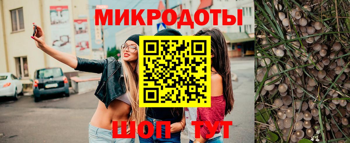 Галлюциногенные грибы ЛСД Тавда