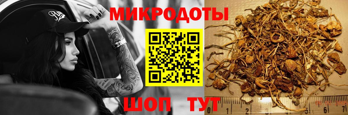 Псилоцибиновые грибы MAGIC MUSHROOMS  Галлюциногенные грибы Psilocybe  Вход с VPN  Тавда 